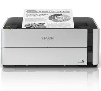 Замена головки на принтере Epson M1180 в Новосибирске